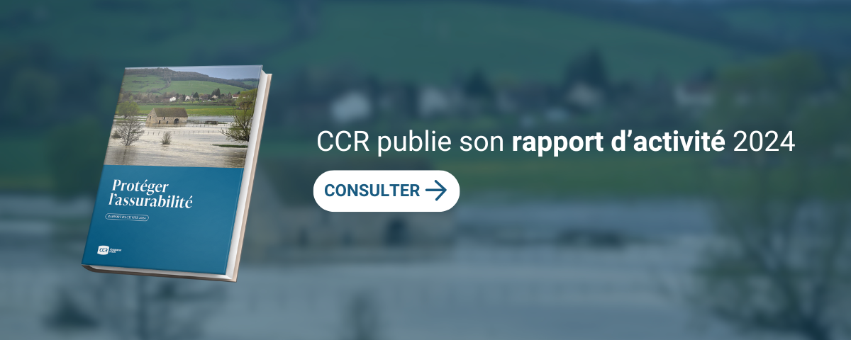 First Responsive Image