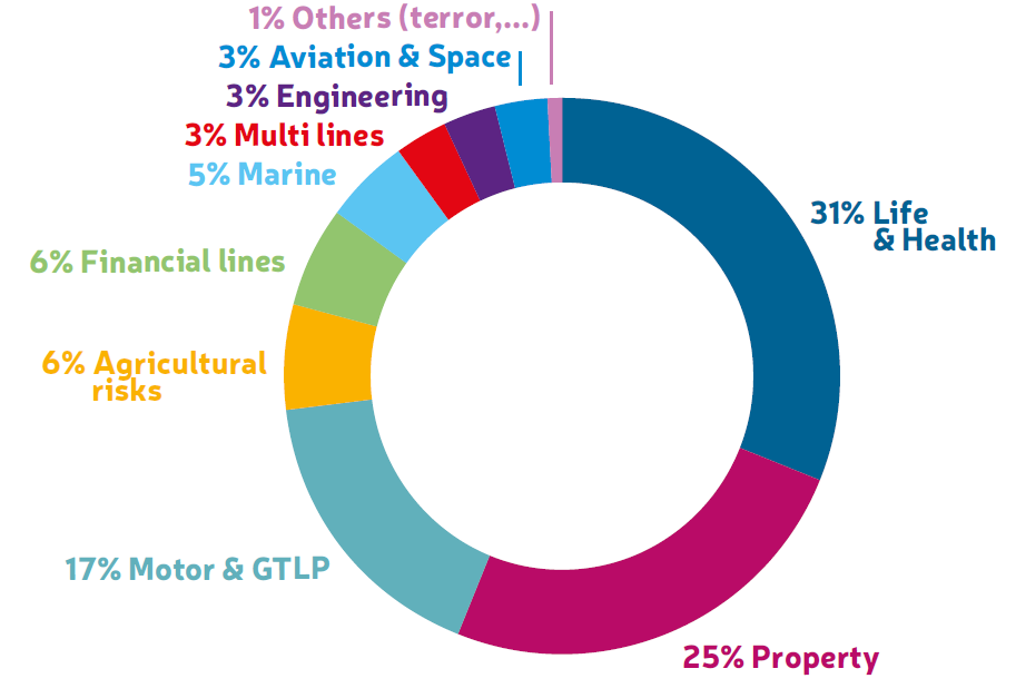 Breakdown of premium income CCR Re