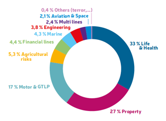 business lines CCR Re