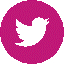 logo twitter ccr re