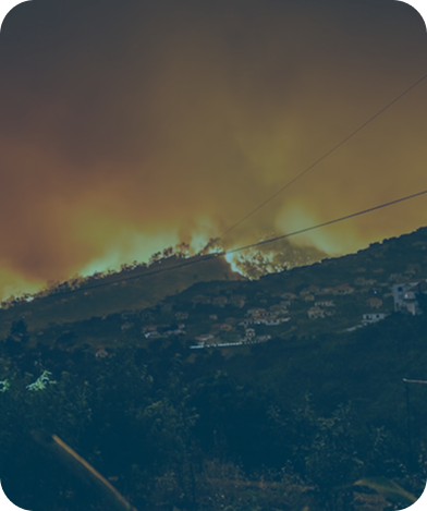 Simulation d’événement réel : incendie de grande ampleur, exemple de modélisation par CCR