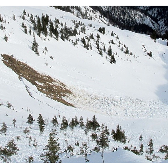 Avalanche coulante visible sur une pente enneigée bordée de conifères