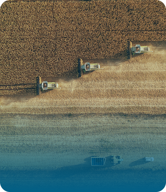 Récolte agricole illustrant le Fonds National de Gestion des Risques en Agriculture (FNGRA)