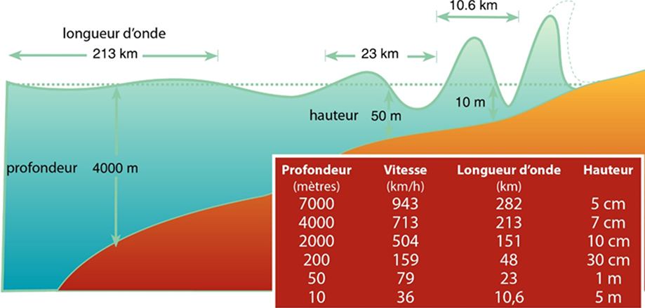 Schéma illustrant la relation entre profondeur, hauteur et vitesse d’une vague de tsunami