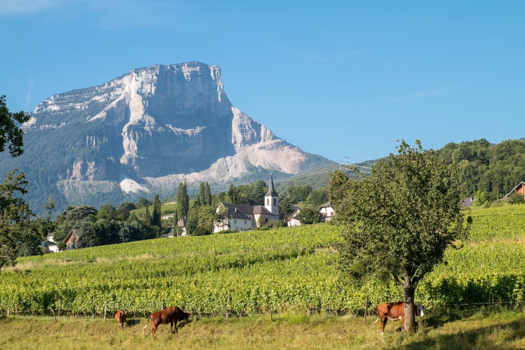 Chute de blocs au Mont Granier : un scénario à 800 millions d’euros de dommages assurés