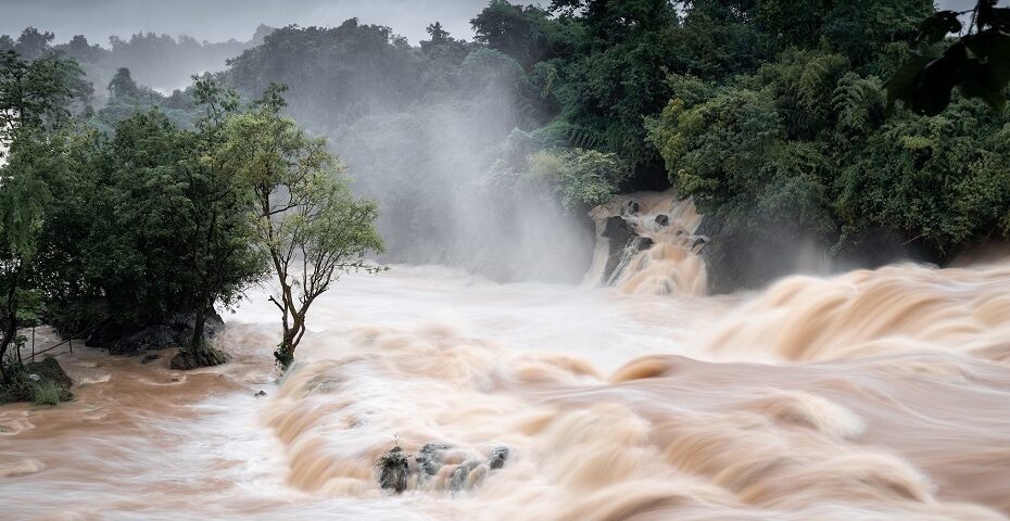 Photographie des chutes de Khone Phapheng en crue, avec un puissant courant d’eau boueuse dévalant les rochers et traversant une végétation dense, dans la région de Champasak au sud du Laos.