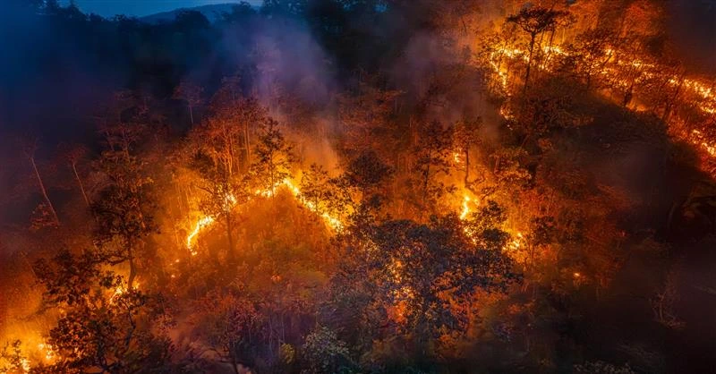 Feux de forêts : CCR améliore la modélisation de la propagation pour une meilleure anticipation