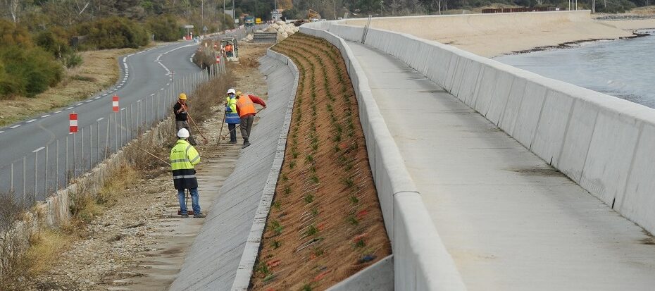 Travaux d’aménagement réalisés par des ouvriers en bord de route, intégrant une zone végétalisée, dans le cadre de la prévention des inondations.