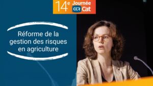 Miniature YouTube 14e Journée CCR CAT