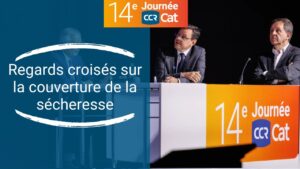 Miniature YouTube 14e Journée CCR CAT