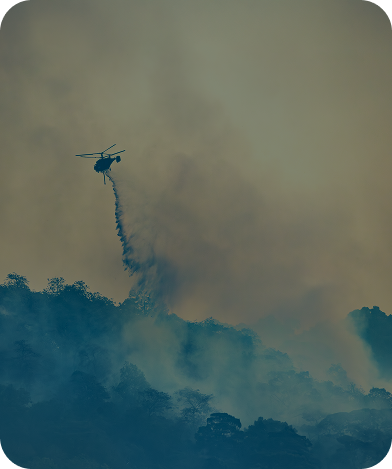 Hélicoptère larguant de l'eau sur un incendie de forêt, avec une fumée dense s'élevant au-dessus des arbres